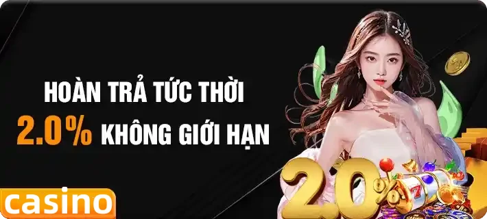vn319