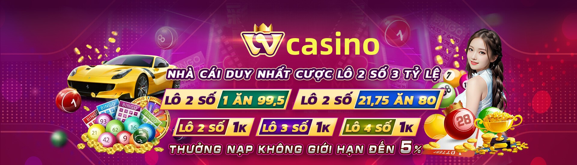 vn319