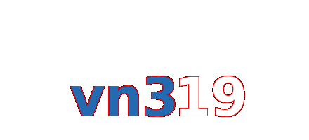 vn319