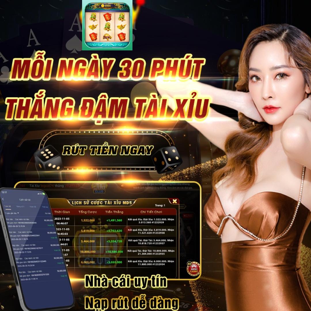 vn319