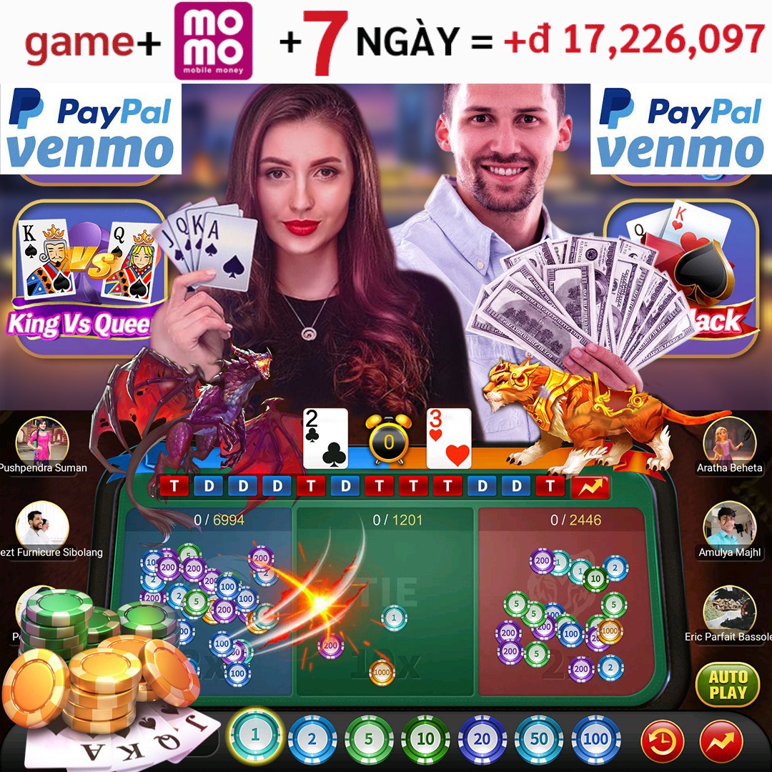 vn319