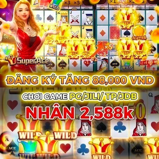 vn319